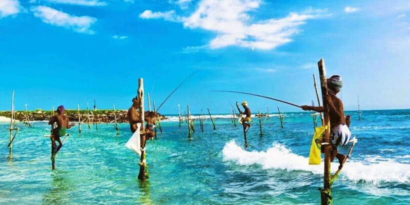 Galle Day Trip - River Safari, Sea Turtle & Stilt Fishermen - Turtle Conservation: Learning and Contributing