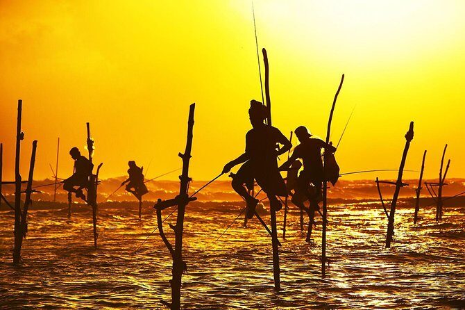Galle Day Trip & Stilt Fishermen from Koggala - A Deep Dive into the Galle Day Trip Experience