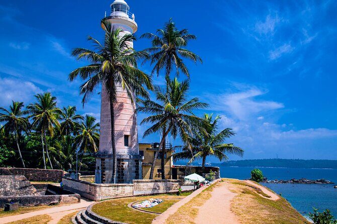 Galle Day Trip with River Safari, Sea Turtle & Stilt Fishermen - Key Points