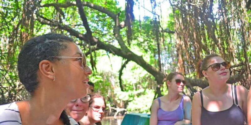 Galle Day Trip with River Safari, Sea Turtles & Tea Factory - A Deep Dive into the Galle Day Trip