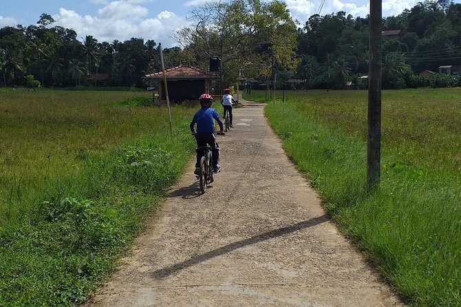 Galle Family Fun Bike Ride - Why This Tour Works Well for You