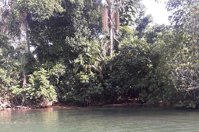 Galle Fort, Turtle, - Private Day Tour From Negombo or Colombo - The Sum Up