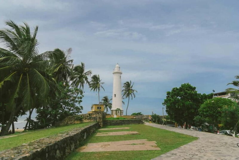 Galle Private Day Tours with Sea Turtles visit & Boat Safari - Key Points