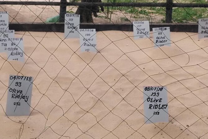 Galle Sightseein Rickshaw Tour - Who Would Enjoy This Tour?