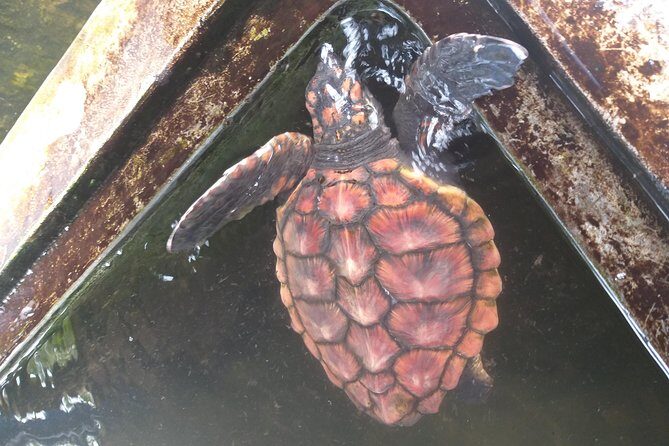 Galle sightseeing tour - Final Thoughts