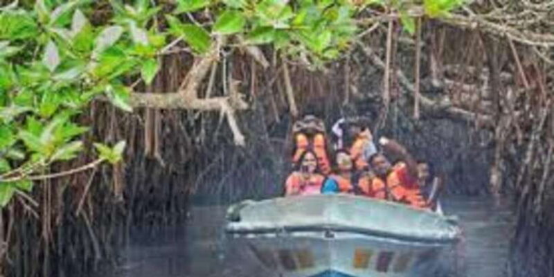 Galle Transfer Tour from Colombo/Negombo - A Deep Dive into the Galle Transfer Tour