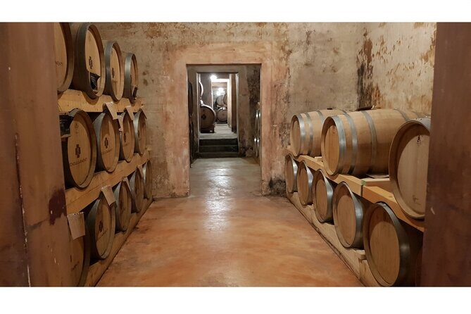Gallipoli Full Day Private Tour: Coast, Beaches and Wineries - Final Thoughts: Is This Tour Worth It?