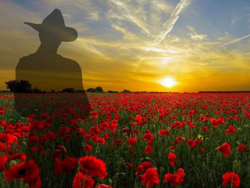 Gallipoli Full-Day Tour from Istanbul - A Closer Look at the Gallipoli Full-Day Tour from Istanbul