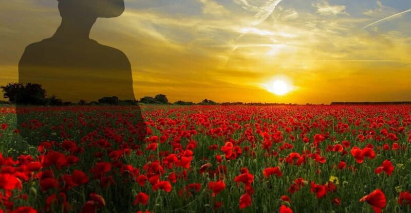 Gallipoli Full-Day Tour from Istanbul - Final Thoughts