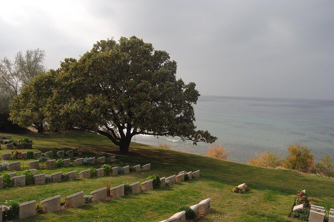 Gallipoli in Depth with Troy Pergamon Acropolis and Ephesus - True Value Beyond the Sites