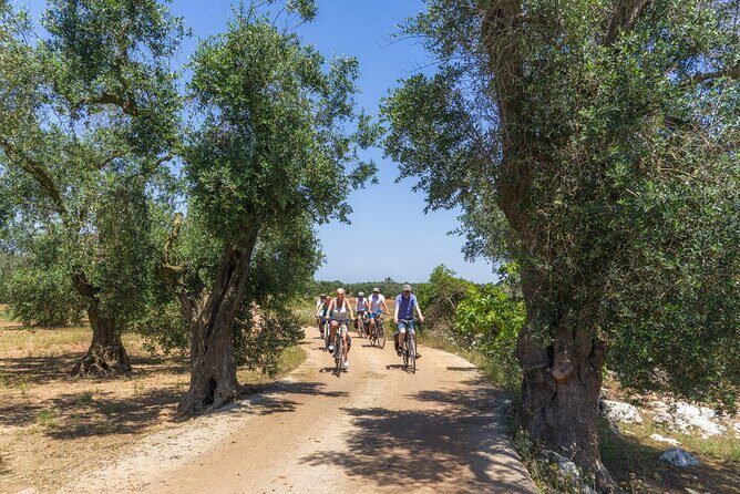 Gallipoli Inland and Surroundings Full-Day Bike Tour - A Complete Guide to the Gallipoli Inland and Surroundings Bike Tour