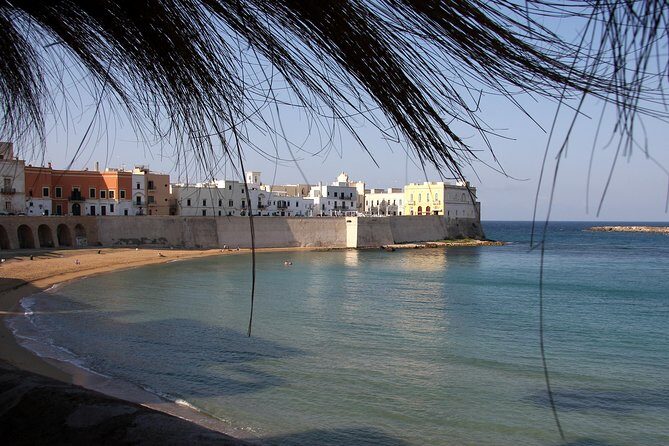 Gallipoli walking tour - What to Expect on the Itinerary