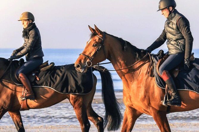 Gallop on Deauville Beach - Gallop on Deauville Beach: A Unique Ride Along France’s Famous Coast