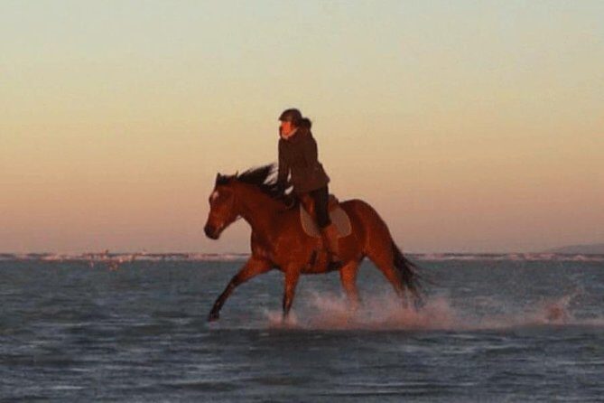 Gallop on Deauville Beach - An In-Depth Look at a Deauville Beach Horseback Ride