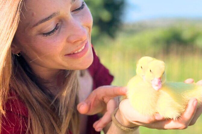Gallura Picnic in the Farm with Animals - Gallura Picnic in the Farm with Animals: A Genuine Sardinian Escape