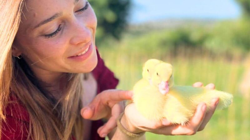 Gallura: Picnic on a Farm with Animals - FAQ