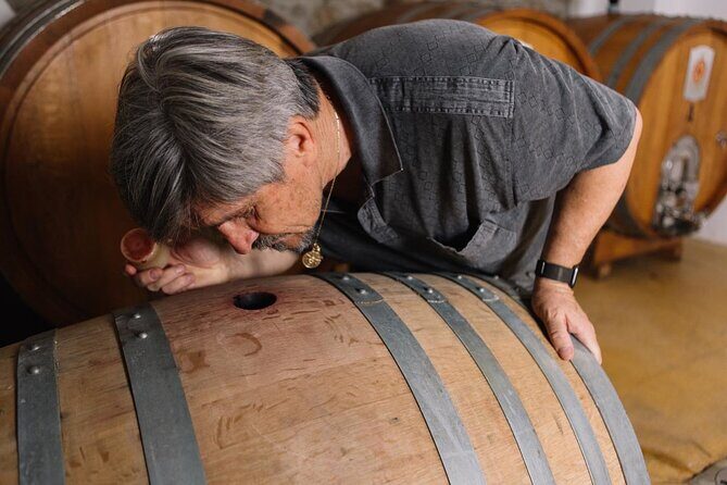 Gallura Winery with Wine Tasting in Olbia - An Honest Look at the Gallura Winery Experience