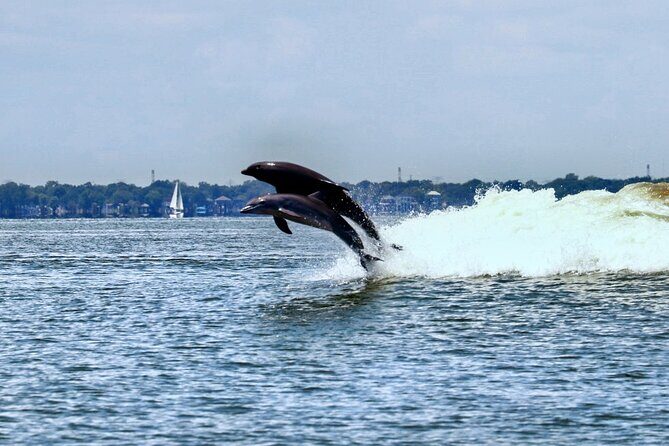 Galveston Day Tour from Houston - Key Points