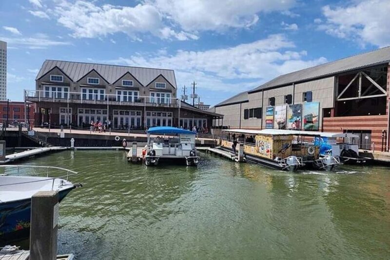 Galveston: Dolphin Watching Boat Tour in Galveston Bay - The Sum Up