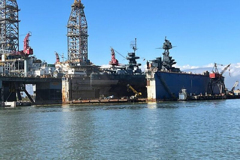 Galveston: Dolphin-Watching Cruise - Final Reflection