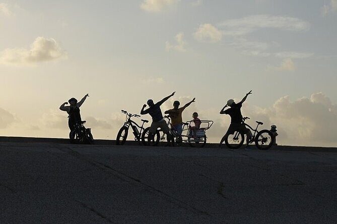 Galveston Island Art & Mural E-Bike Tour - Exploring the Galveston Island Art & Mural E-Bike Tour in Detail