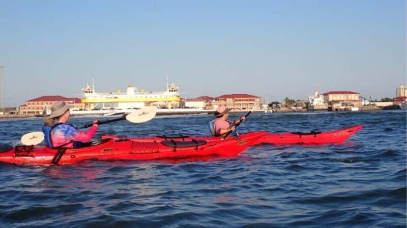 Galveston: Sea Kayaking Tour with Harbor Views - Exploring Galveston by Kayak: A Practical Overview