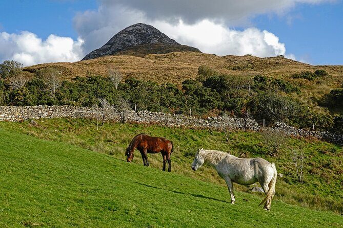 Galway to Connemara National Park Day Tour - FAQ