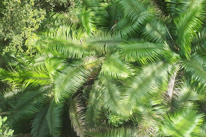 Gamboa Rainforest Experience From Panama City - Who Should Consider This Tour?