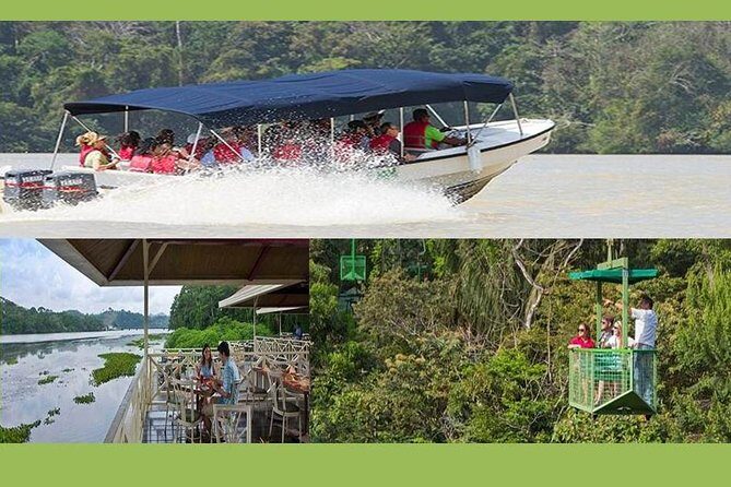 Gamboa Rainforest Experience From Panama City - Wildlife and Nature Walks