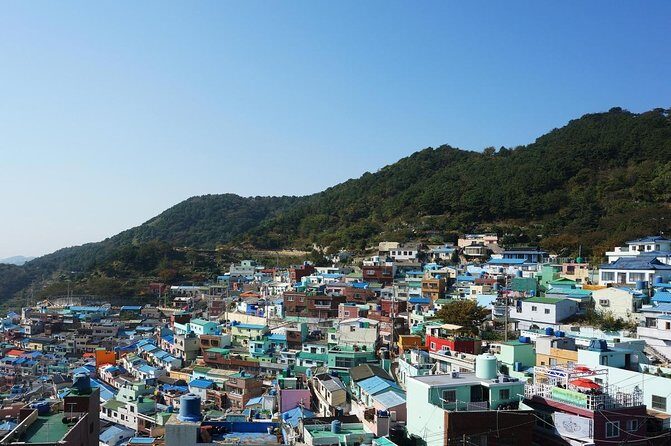 Gamcheon Cultural Village & Skywalk & Markets - In-Depth Look at the Tour Experience