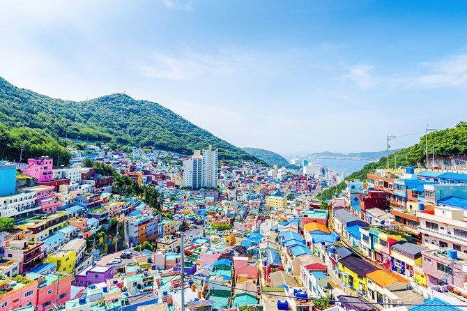Gamcheon Cultural Village & Skywalk & Markets - Who Is This Tour Best For?