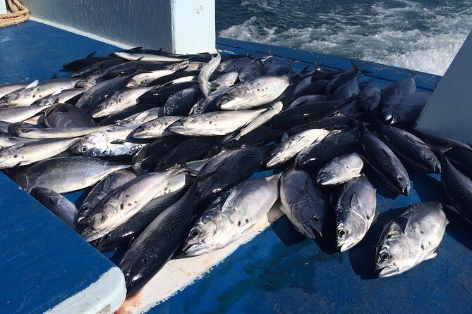 Game Fishing and Trolling around Phuket - An In-Depth Look at the Phuket Game Fishing Tour