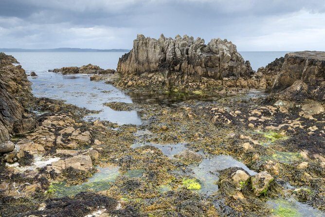 Game of Thrones and Giant's Causeway Full-Day Tour from Belfast - What the Reviews Say