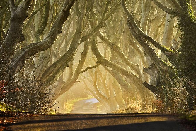 Game of Thrones - Private Audi A6 tour with Richard the Wildling - Practical Details and Considerations