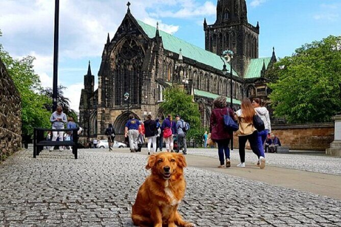 Gander Walking Tours in Glasgow - Who Should Consider This Tour?