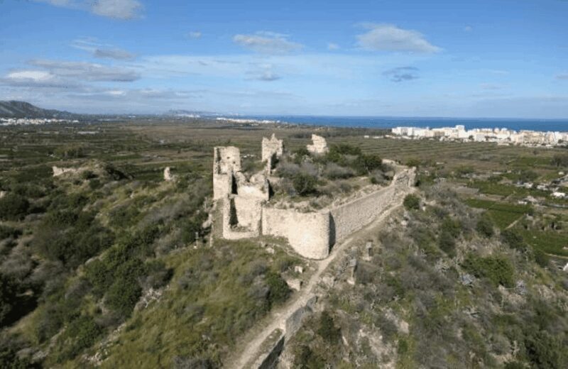 Gandía: History, Beach & Albufera Natural Park Private Tour - The Sum Up