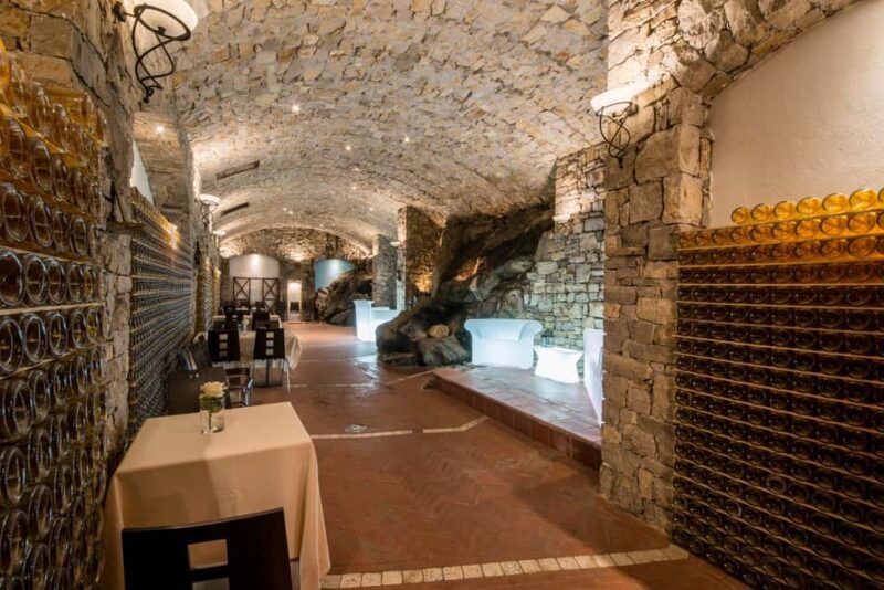 Gandosso: visit to the winery and Valcalepio wine tasting - The ideal traveler for this experience