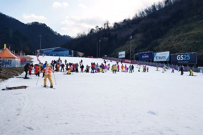 Gangchon Elysian Ski Day Trip from Seoul - A Practical Guide to Your Day on the Slopes