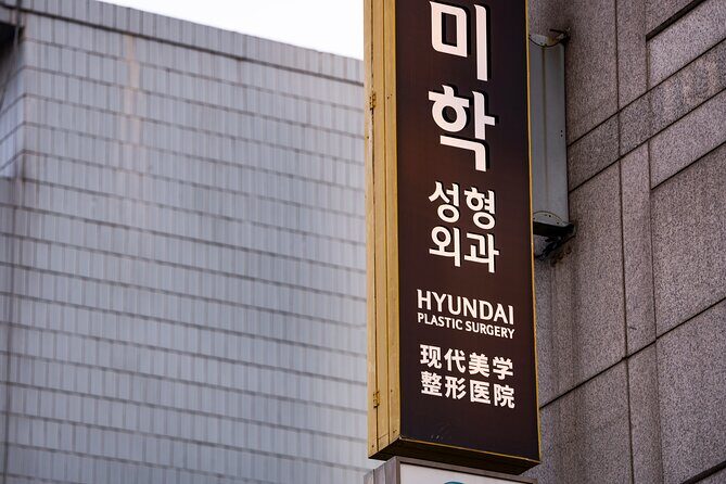 Gangnam Walking Tour on Youth and Society in Seoul Korea - Who Will Benefit Most from This Experience?