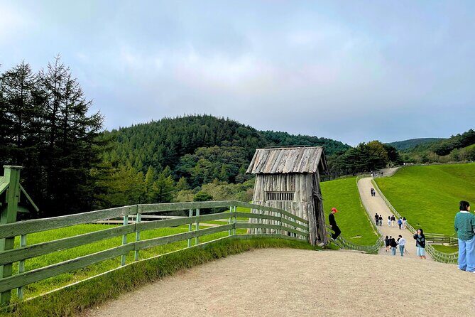 Gangneung Sightseeing Day Tour - Final Thoughts: Is This Tour Worth It?