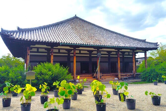 Gango-ji Temple World Heritage Tour & Naramachi Old Town Walk - Exploring Nara’s Heritage: Gango-ji Temple & Naramachi Old Town Walk