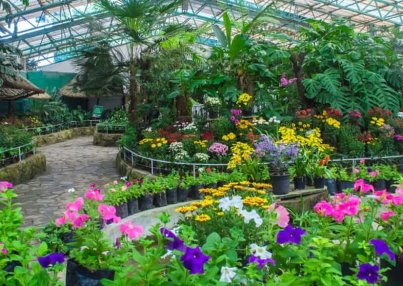 Gangtok: Guided Walking Tour with Ridge Park & Monastery - Practical Details and What to Expect