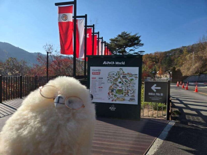 Gangwon 2D1N Trip: Chuncheon-Hongcheon with Accommodation - A Practical Look at the Gangwon 2D1N Trip: Chuncheon-Hongcheon with Accommodation