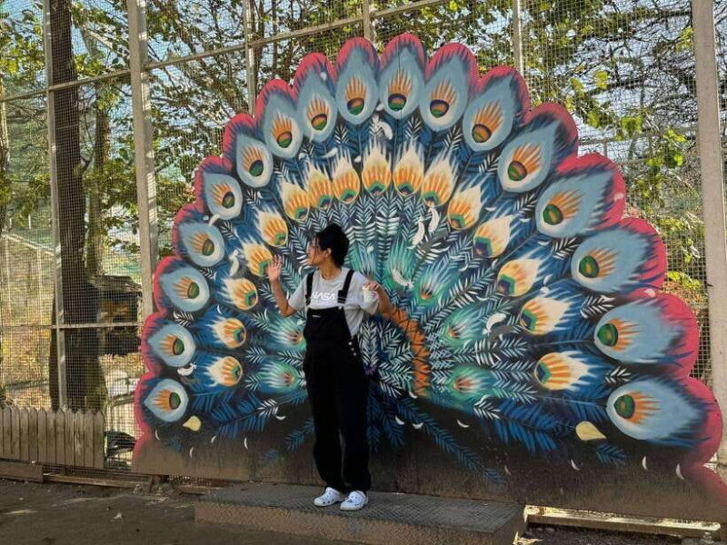 Gangwon 2D1N Trip: Chuncheon-Hongcheon with Accommodation - Key Points