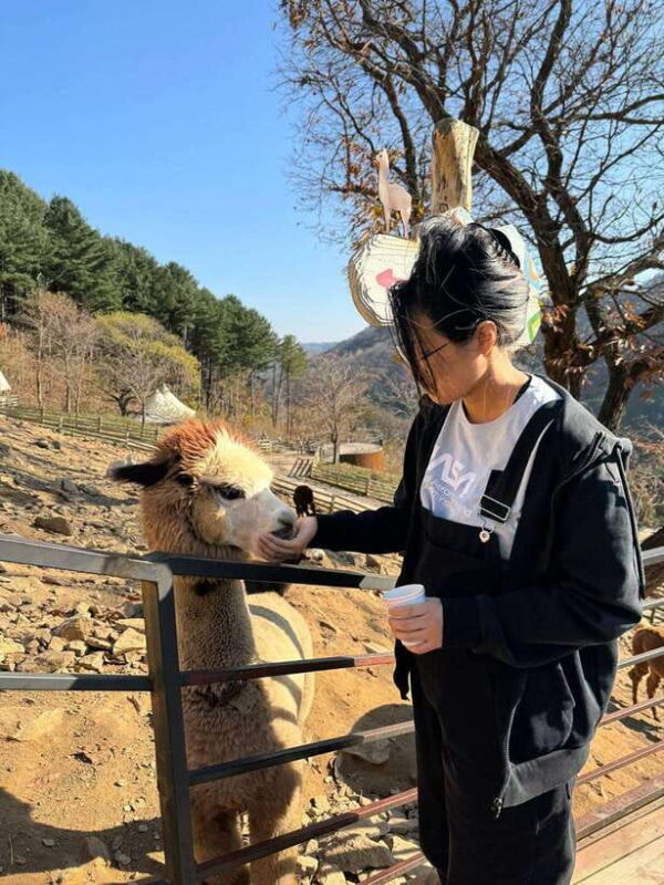 Gangwon 2D1N Trip: Chuncheon-Hongcheon with Accommodation - What Makes This Tour Stand Out?