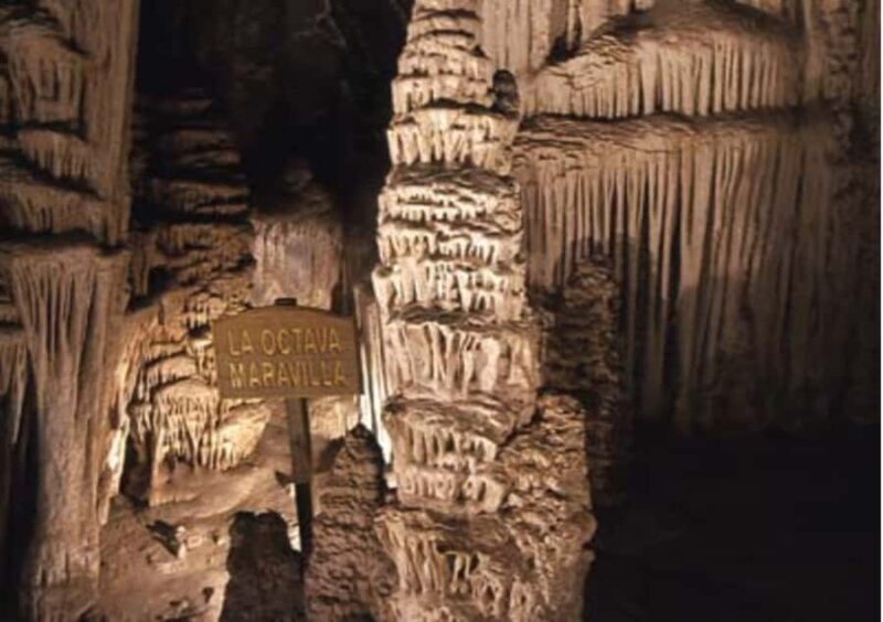 Garcia Caves Day Tour from Monterrey - A Detailed Look at the Garcia Caves Day Tour
