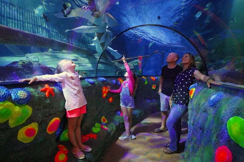 Gardaland SEA LIFE Aquarium: Open Date Entry Ticket - Practical Considerations and Final Thoughts