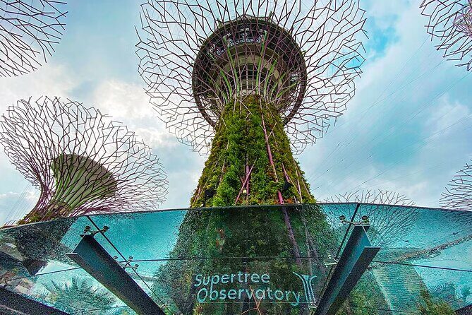 Garden By Bay Cloud Forest, Flower Dome & Supertree Observatory - Discover Singapore’s Iconic Gardens by the Bay with a Single Ticket