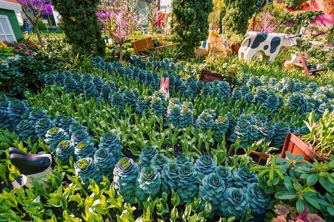 Garden By Bay Cloud Forest, Flower Dome & Supertree Observatory - Exploring Gardens by the Bay: What to Expect