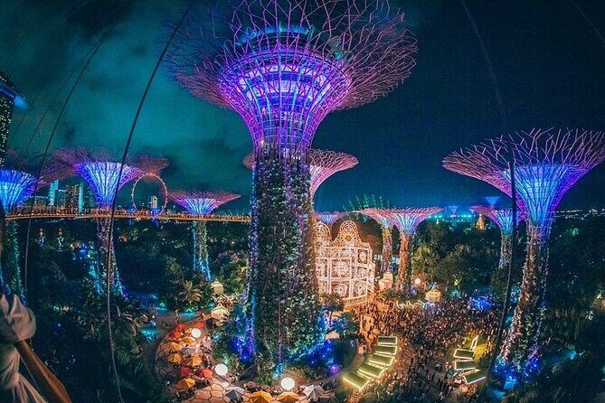 Garden by the Bay Ticket Only Optional Skypark Observation Deck - Discovering Gardens by the Bay and SkyPark in Singapore